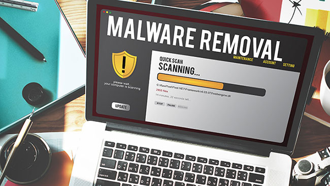 Malware removal