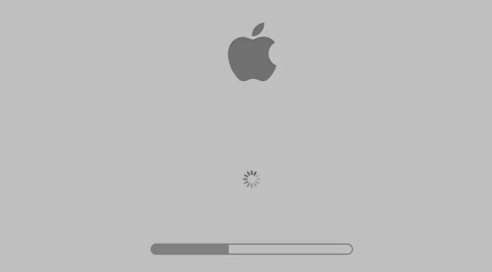 Mac Boot apple logo
