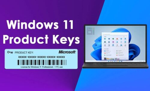 How to find product key Windows 11
