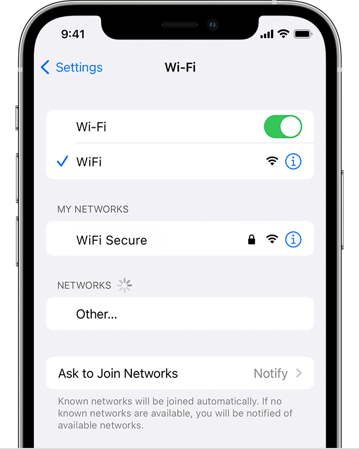 iPhone access the Wi-Fi