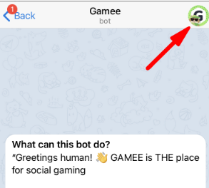 select the bot’s profile image