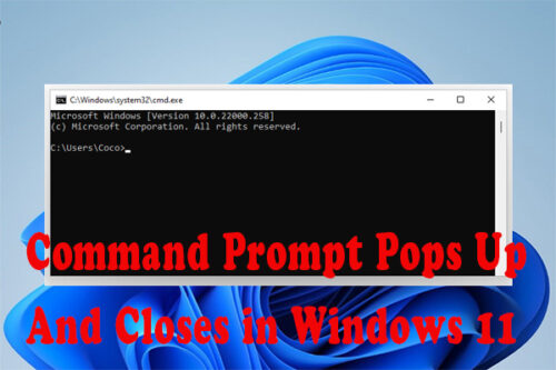 Fix Command Prompt opens and closes immediately Windows 11