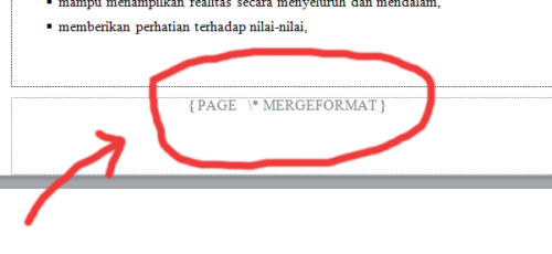 How to get rid of PAGE * MERGEFORMAT in word