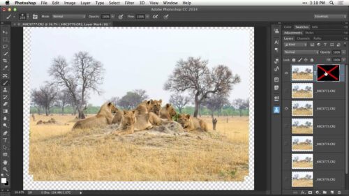 How to align multiple images in Photoshop