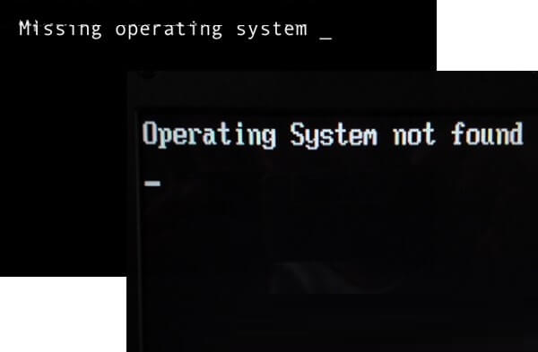 The boot fie system of your device has been corrupted or deleted