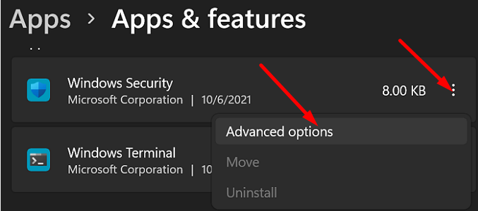  Windows Security advanced options